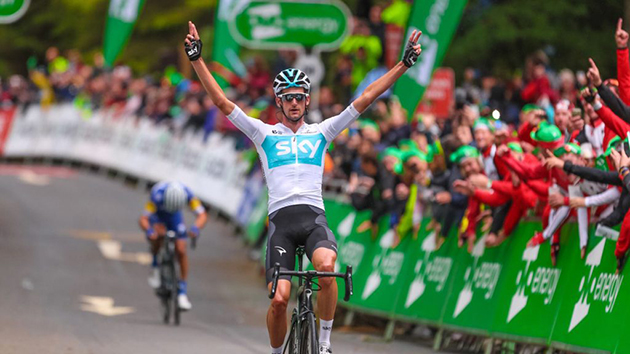 Wout poels